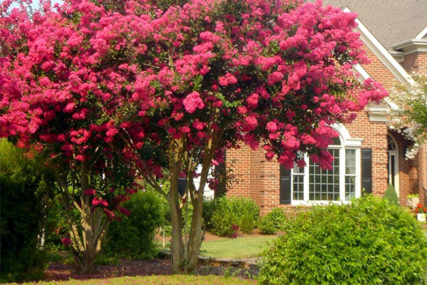 7 nguyên tắc phong thủy tối thiểu trong nhà: Làm được những điều sau thì công việc hanh thông, phú quý không mời cũng đến-4