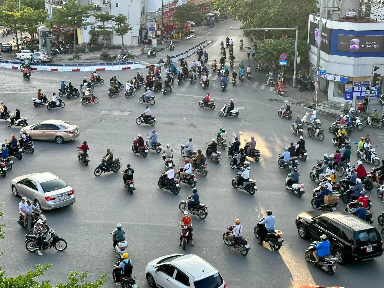 Người đàn ông ngoại quốc ôm ngựa vàng mã về quê: Tôi yêu mọi thứ thuộc về Hà Nội-7