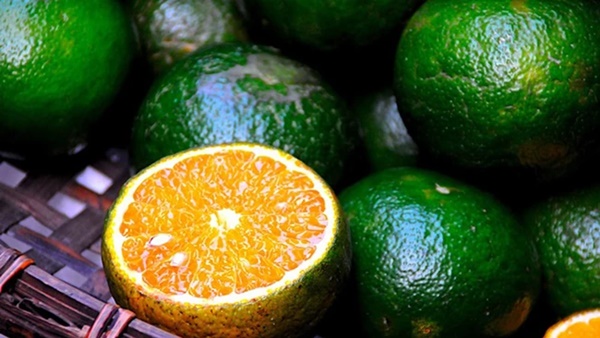 9 loại quả ít đường giúp chị em phòng chống lão hóa-4