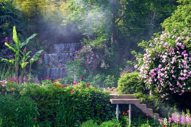 Khu vườn rộng 5.000m2 đẹp như cổ tích được cải tạo từ bãi đất hoang-1