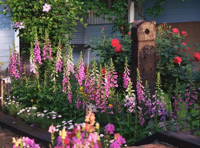 Khu vườn rộng 5.000m2 đẹp như cổ tích được cải tạo từ bãi đất hoang-2