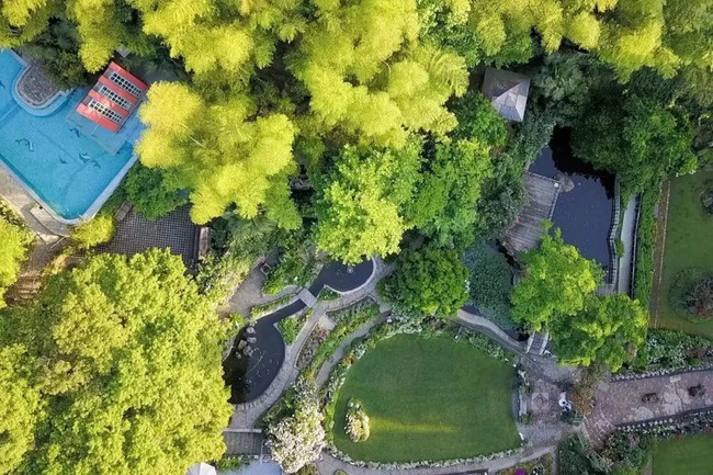 Khu vườn rộng 5.000m2 đẹp như cổ tích được cải tạo từ bãi đất hoang-5