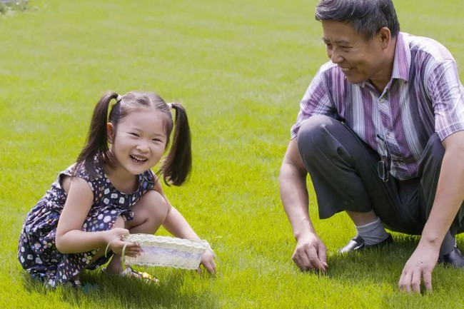 Khu vườn rộng 5.000m2 đẹp như cổ tích được cải tạo từ bãi đất hoang-10