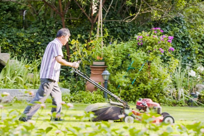 Khu vườn rộng 5.000m2 đẹp như cổ tích được cải tạo từ bãi đất hoang-7