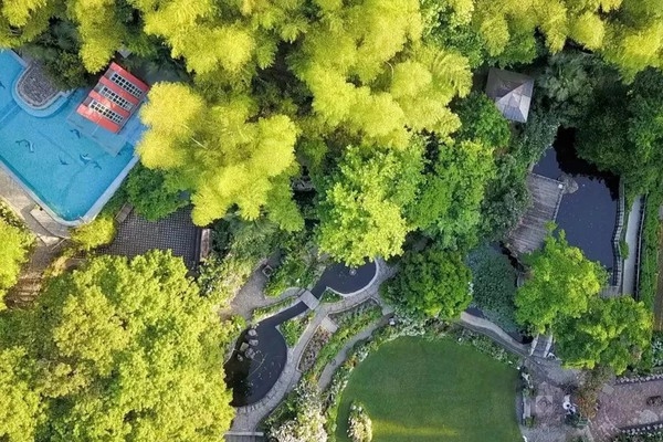 Tại sao người giàu thích trồng trầu bà trong phòng ngủ? Biết lý do tôi liền làm theo-5