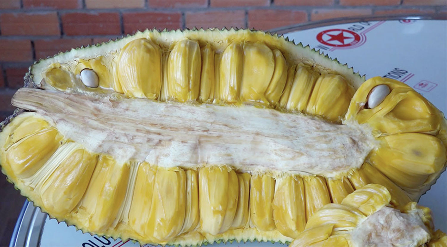 Mít thơm lừng mùi sầu riêng, mít khủng 40 kg/quả ở Việt Nam-2