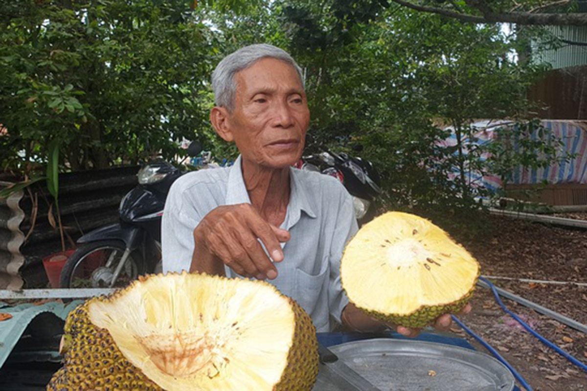 Mít thơm lừng mùi sầu riêng, mít khủng 40 kg/quả ở Việt Nam-4