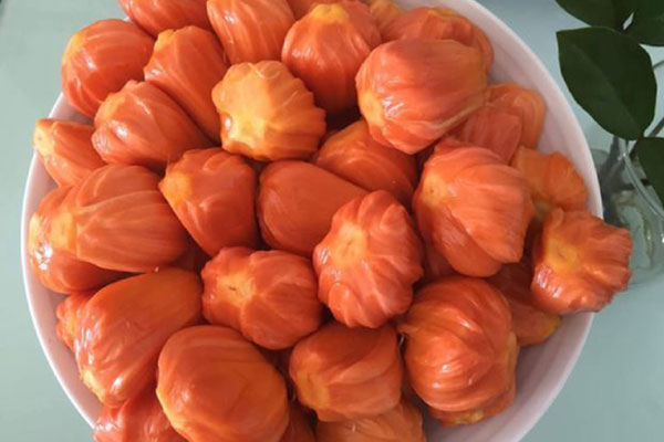 Sầu riêng bị thổi giá cao ngất ngưởng, doanh nghiệp không dám mua-2