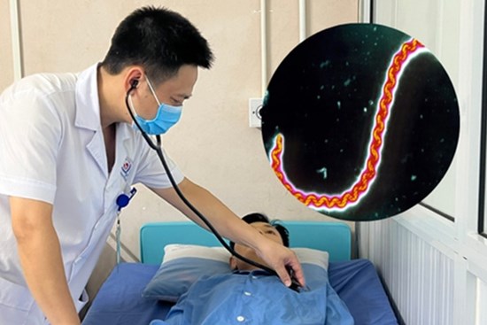 Nam thanh niên suy thận cấp, phải lọc máu do nhiễm xoắn khuẩn sau chuyến đi chơi thác