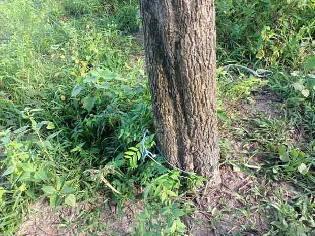 Cô gái bị gã xe ôm biến thái giở trò đồi bại trong đêm-1