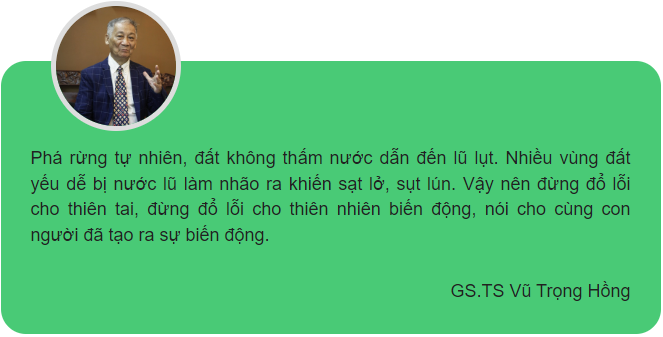 Khắp nơi sạt lở kinh hoàng, vùi lấp nhiều người: Đừng mãi đổ lỗi cho thiên tai-3
