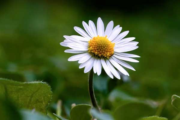 Hết mưa là nắng: Ai sinh tháng Âm lịch này tháng 8 khó trước, dễ sau, tương lai tiến bộ không ngừng-5