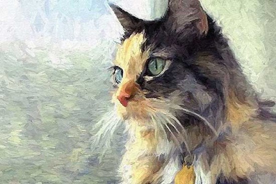 Từ 40 tuổi, 4 con giáp bắt đầu bứt tốc, có may mắn mở đường, 50 tuổi sự nghiệp vững chãi, đánh đâu thắng đó