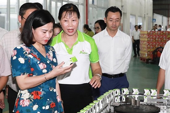 Xây dựng Ba Vì đủ điều kiện trở thành huyện mẫu mực về phát triển nông nghiệp nông thôn của Thủ đô