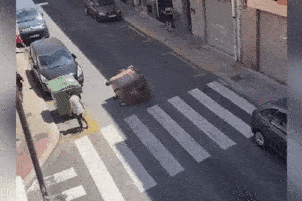 Tài xế điều khiển xe 