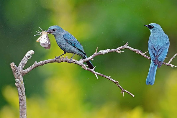 Con giáp nào tài lộc khởi sắc trong ngày 9/8?-1