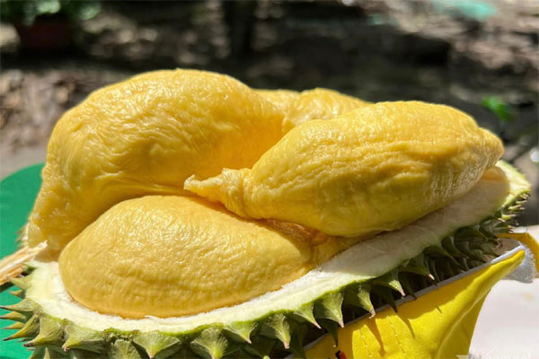 Thị thơm cô Tấm xuống phố, gần 200.000 đồng/cành vẫn được săn đón-5