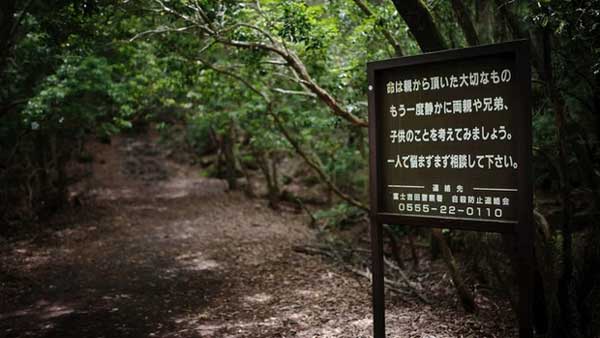 Cánh rừng tự sát” của Nhật Bản hiện tại thế nào sau nhiều năm gây ám ảnh?-2