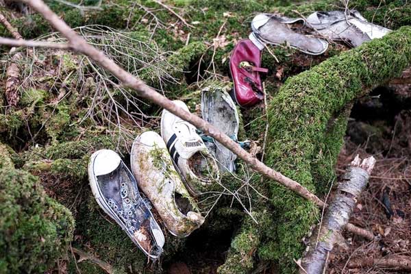 Cánh rừng tự sát” của Nhật Bản hiện tại thế nào sau nhiều năm gây ám ảnh?-4