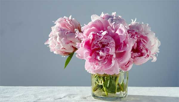 Tử vi ngày 10/8/2023 của 12 cung hoàng đạo: Kim Ngưu bốc đồng, Xử Nữ tốt bụng-2