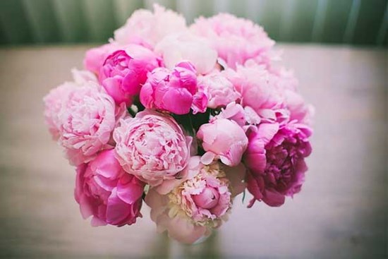 Tử vi ngày 10/8/2023 của 12 cung hoàng đạo: Kim Ngưu bốc đồng, Xử Nữ tốt bụng