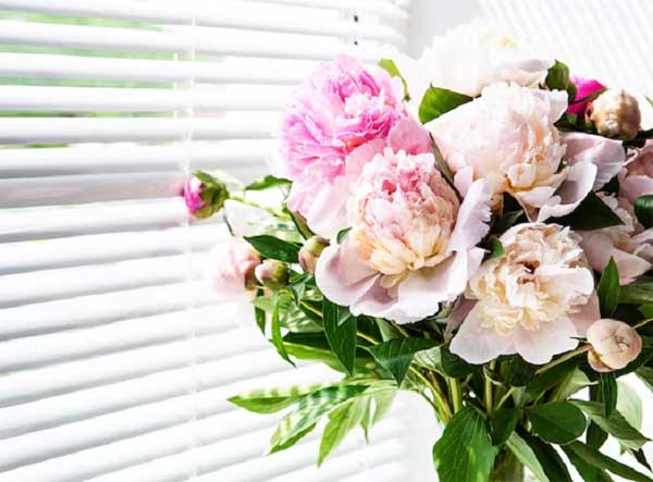 Tử vi ngày 10/8/2023 của 12 cung hoàng đạo: Kim Ngưu bốc đồng, Xử Nữ tốt bụng-3