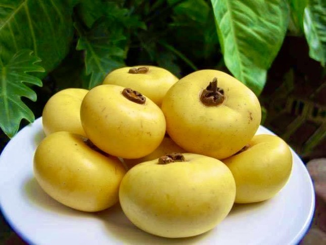 Thị thơm cô Tấm xuống phố, gần 200.000 đồng/cành vẫn được săn đón-4