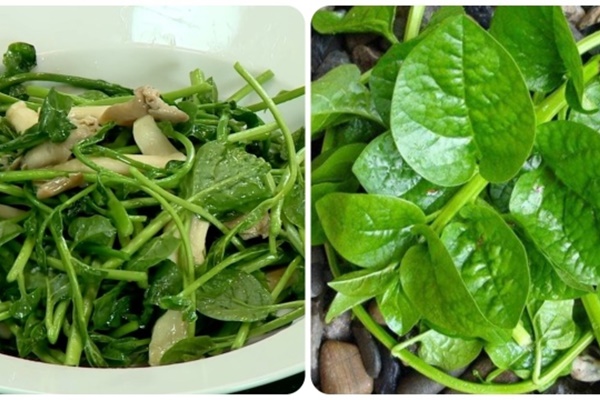 Quả hồng ngon, bổ nhưng lại đại kỵ với 3 nhóm người này-2