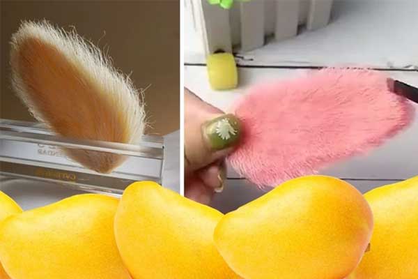 Thú nuôi hạt xoài độc lạ, gây tranh cãi của giới trẻ Trung Quốc-1