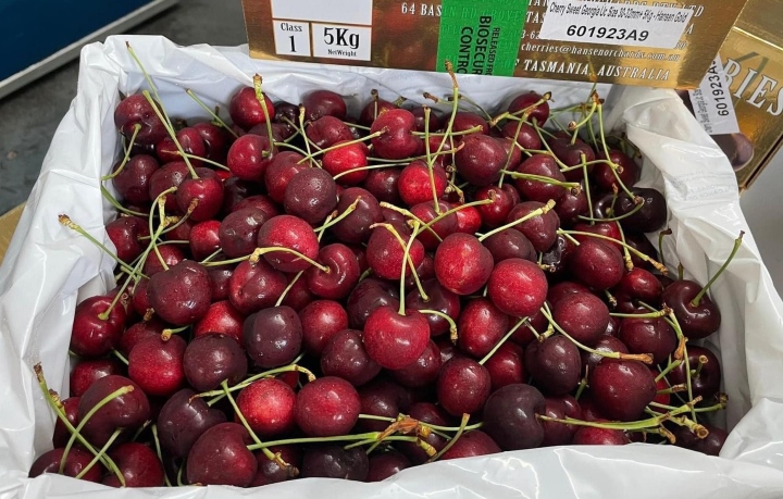 Giá cherry nhập khẩu Mỹ thấp kỷ lục-1