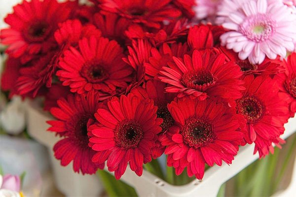 Được lòng Thần Tài: Người sinh ngày Âm lịch, cần mẫn, kiên định, đến trung tuổi phất lên như vũ bão-1