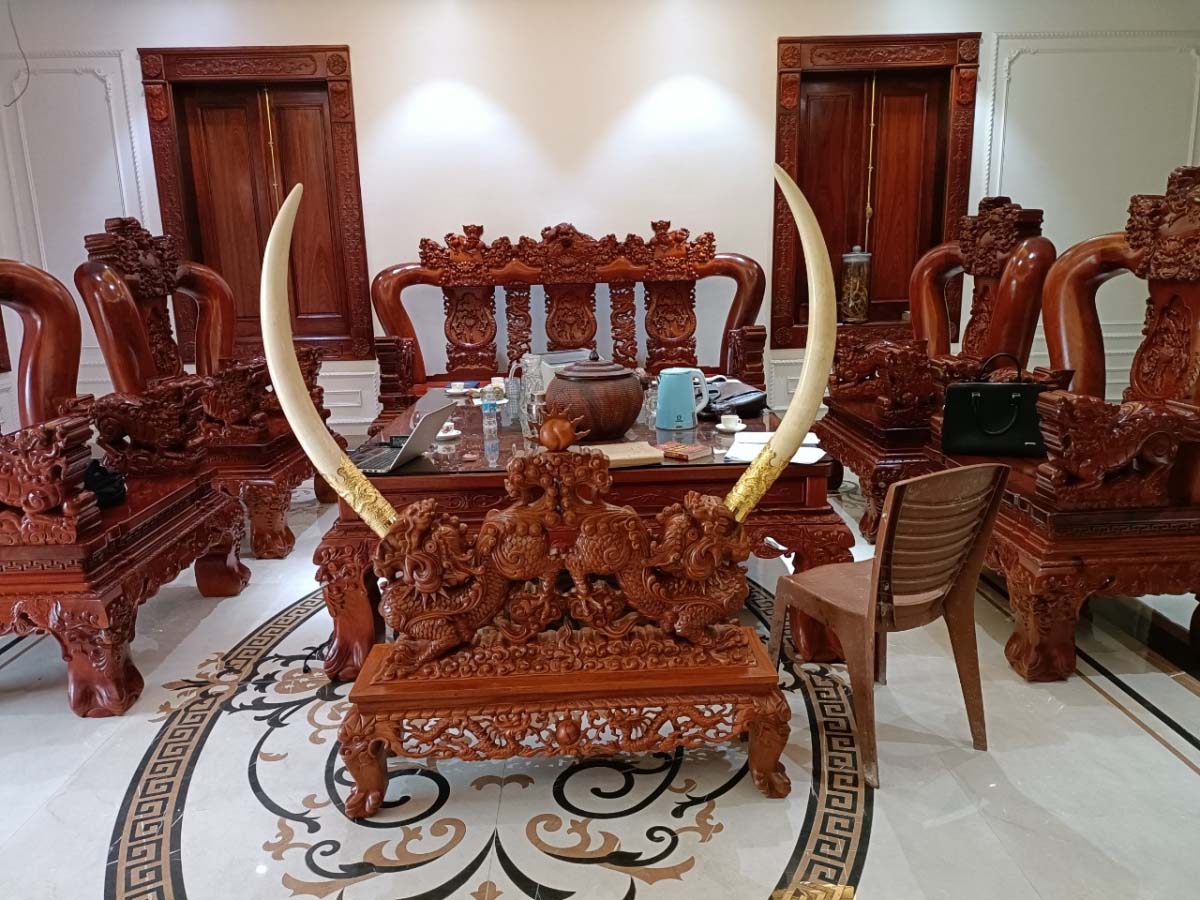 Hà Tĩnh: Con dâu Livestream, mẹ chồng nhận bản án 24 tháng tù-1