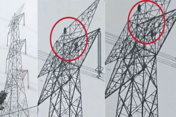 Cãi nhau nảy lửa, đôi trai gái leo lên cột điện cao thế rồi mắc kẹt-1