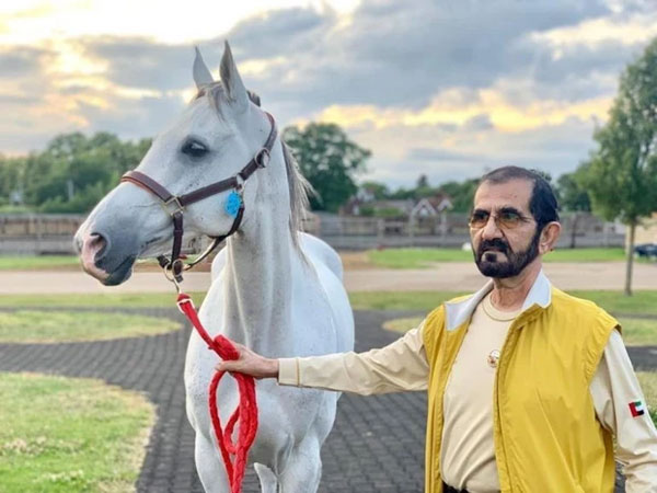 Gia tài 18 tỷ USD của Tiểu vương Dubai-6