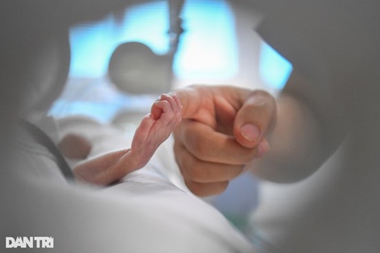 Hà Nội: Nghẹn lòng nghị lực sống của bé sinh non bị mẹ bỏ rơi tại bệnh viện
