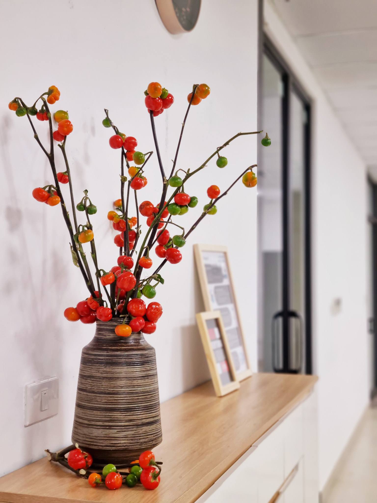 Rộ mốt cắm cành quả nhập từ Trung Quốc, dân buôn nhập về không đủ bán-1