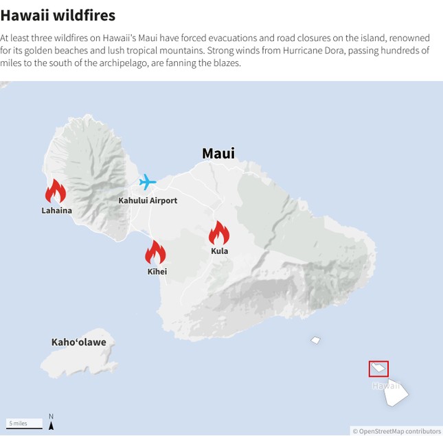 Đám cháy rừng tàn phá thành phố nghỉ dưỡng ở Hawaii, 36 người thiệt mạng-1
