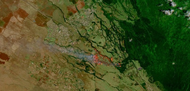 Đám cháy rừng tàn phá thành phố nghỉ dưỡng ở Hawaii, 36 người thiệt mạng-2