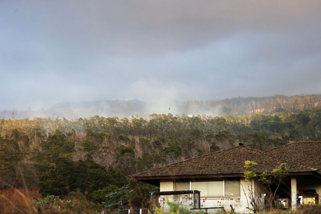 Đám cháy rừng tàn phá thành phố nghỉ dưỡng ở Hawaii, 36 người thiệt mạng-12
