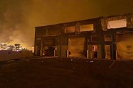 Đám cháy rừng tàn phá thành phố nghỉ dưỡng ở Hawaii, 36 người thiệt mạng