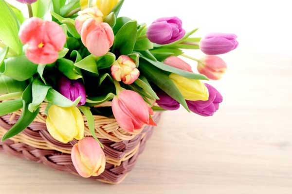 Khổ tận cam lai: 3 con giáp cuối tháng 6 Âm lịch sự nghiệp thăng hoa, toàn gia hưởng phú quý-1