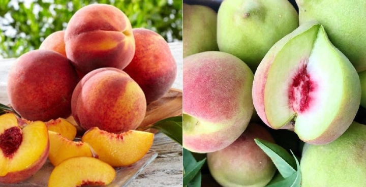 Mua đào nên chọn quả to hay quả nhỏ, đầu nhọn hay đầu tròn?-1