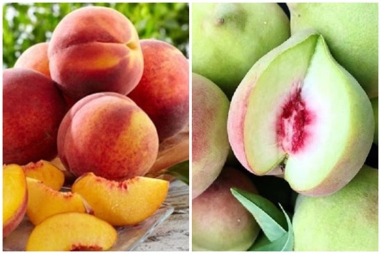 Mua đào nên chọn quả to hay quả nhỏ, đầu nhọn hay đầu tròn?