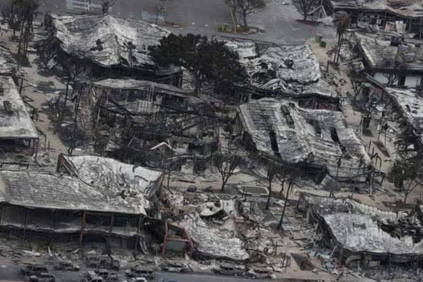 Sự thật bất ngờ về thảm họa cháy rừng ở Hawaii-11