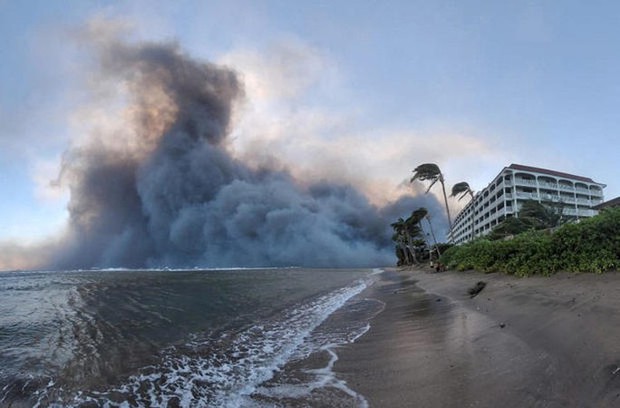 Sự thật bất ngờ về thảm họa cháy rừng ở Hawaii-9