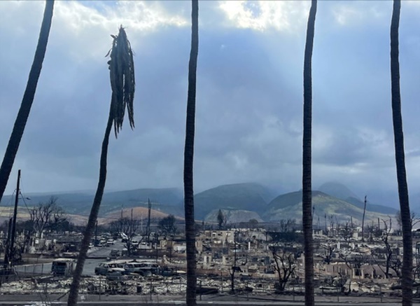 Số người thiệt mạng do cháy rừng ở Hawaii tăng lên 55 và dự kiến sẽ cao hơn-5