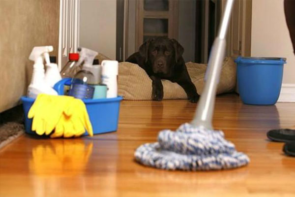 Phương pháp một giờ” sẽ thay đổi cách bạn dọn dẹp nhà cửa-1