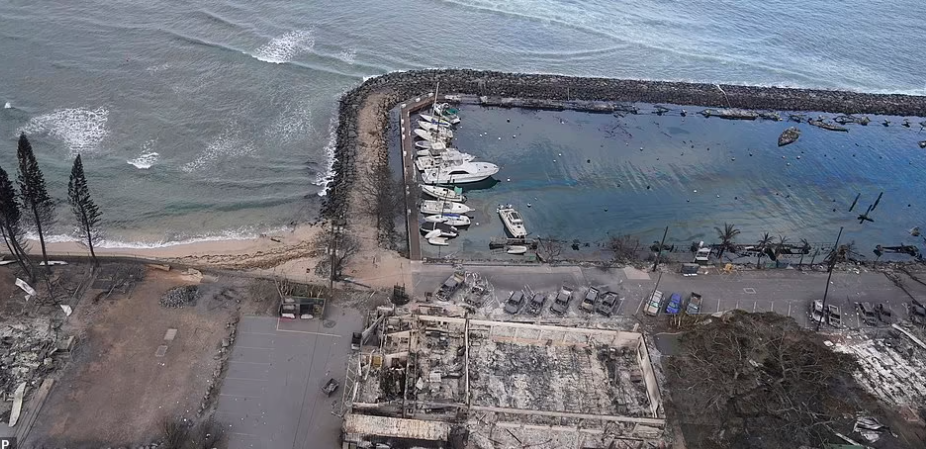 Cảnh tượng khó tin trước và sau thảm họa thiên nhiên tồi tệ nhất lịch sử khiến 67 người thiệt mạng tại Hawaii-9