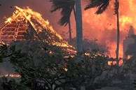 Cảnh tượng khó tin trước và sau 'thảm họa thiên nhiên tồi tệ nhất lịch sử' khiến 67 người thiệt mạng tại Hawaii