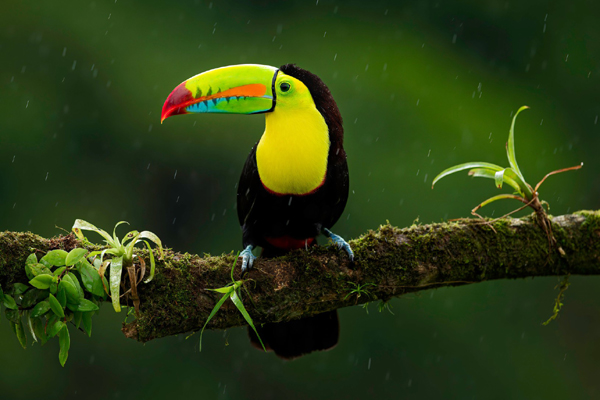 3 con giáp không dễ dàng bỏ cuộc, ắt có ngày thành công-4